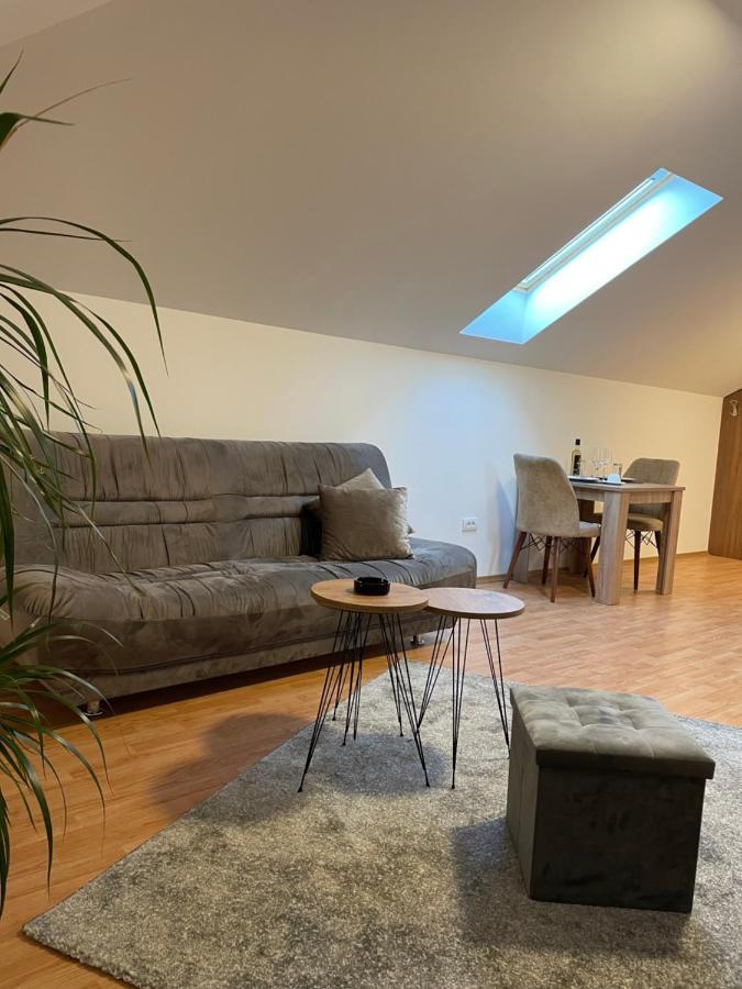 Despot Apartmani Младеновац Экстерьер фото